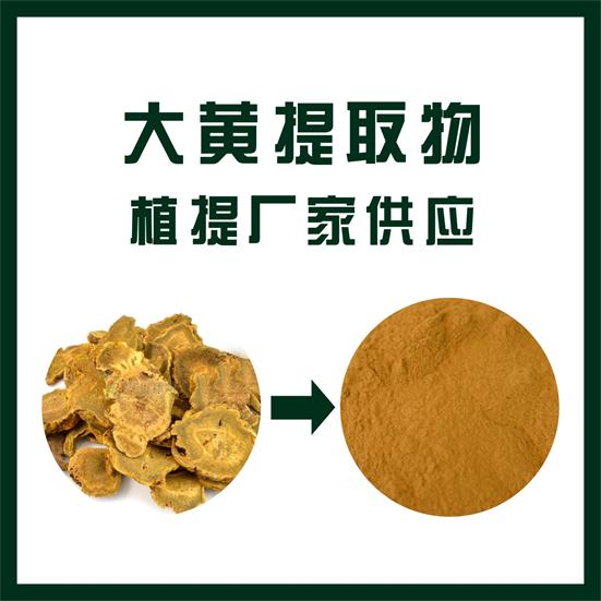 大黃提取物,Rhubarb extract