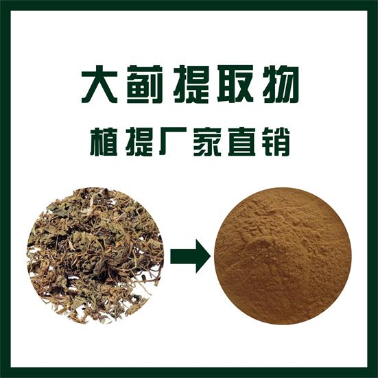 大蓟提取物,Cirsium japonicum extract