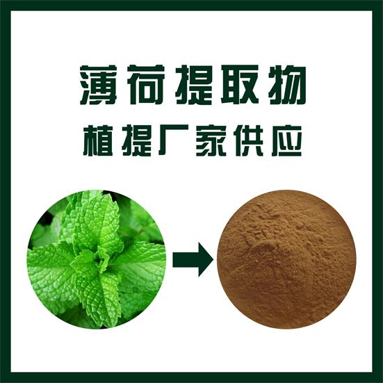 薄荷提取物,Mint extract