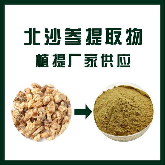 北沙參提取物,Glehnia littoralis extract