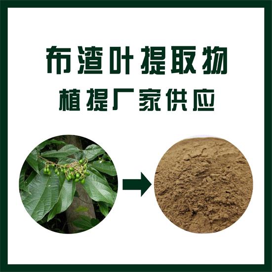 布渣葉提取物,Microcos paniculata Linn extract