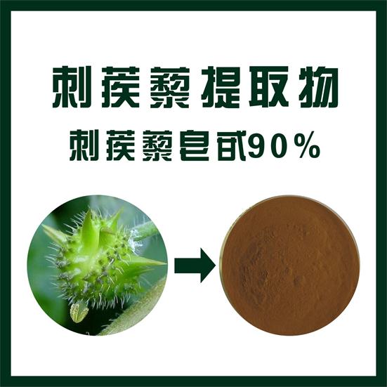 刺蒺藜提取物,Tribulus terrestris extract