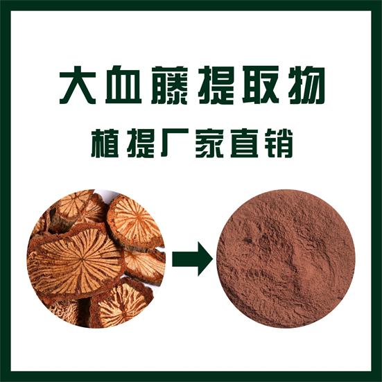 大血藤提取物,Caulis Sargentodoxae extract