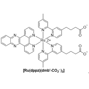 [Ru(dppz)(dmb′-CO2-)2]