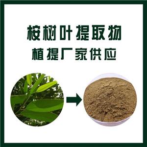 桉树叶提取物,Eucalyptus leaf extract