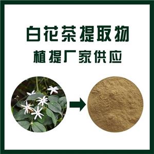 白花茶提取物,White flower tea extract
