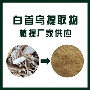 白首烏提取物,Cynanchum auriculatum extract