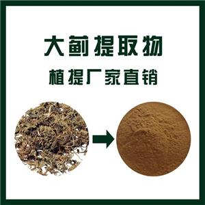 大薊提取物,Cirsium japonicum extract