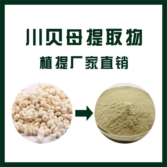 川贝母提取物,Fritillaria cirrhosa extract