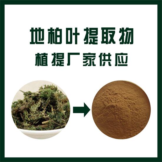 地柏葉提取物,Cypress leaf extract