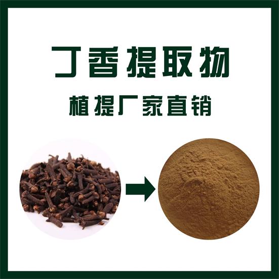 丁香提取物,Clove extract