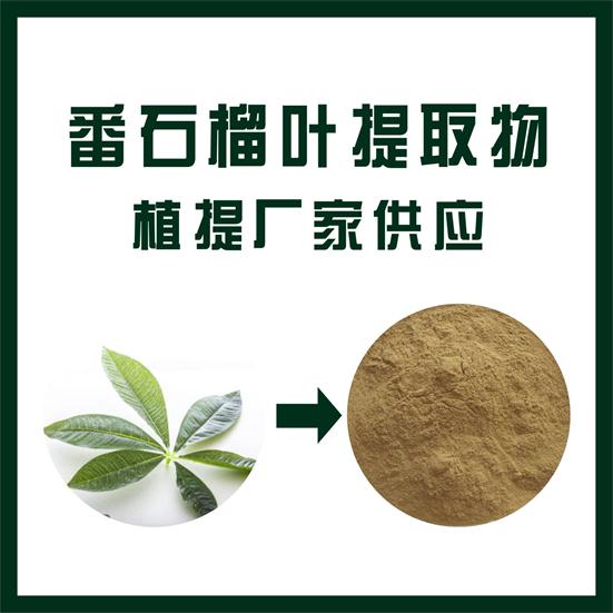 番石榴叶提取物,Guava leaf extract