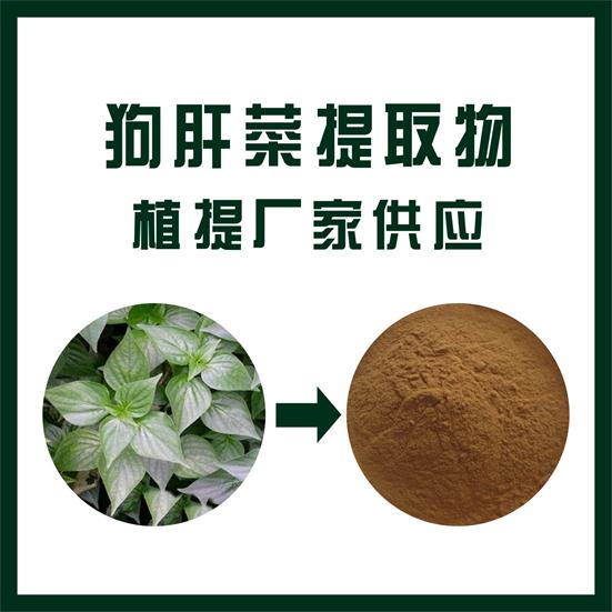 狗肝菜提取物,Dog liver vegetable extract