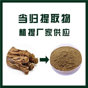 当归提取物,Angelica extract