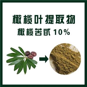 橄榄叶提取物,Olive leaf extract
