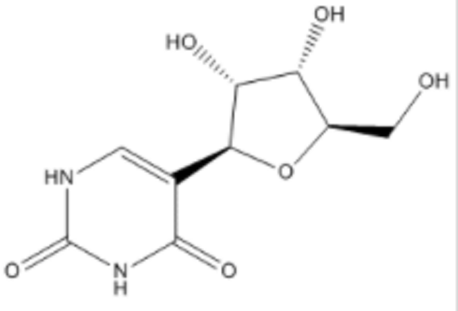 假尿苷,Pseudouridine