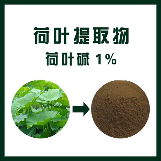 荷叶提取物,Lotus leaf extract