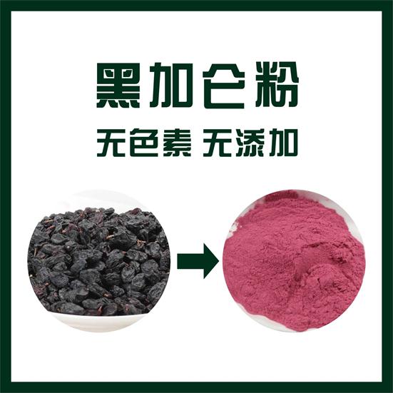 黑加仑粉,Blackcurrant powder