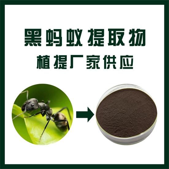 黑蚂蚁提取物,Black ant extract