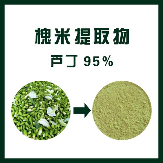 槐米提取物,Sophora japonica extract