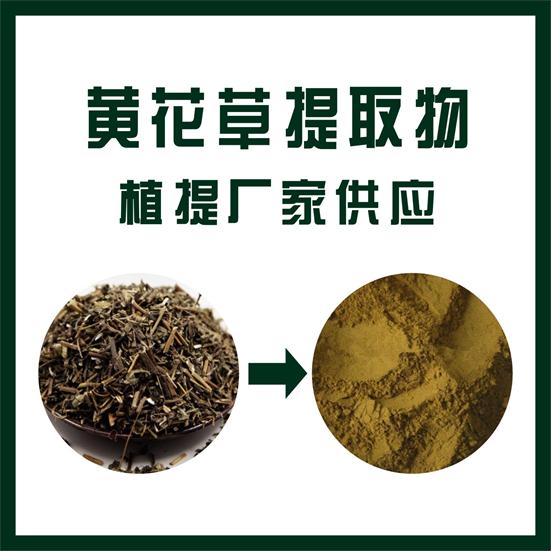 黄花草提取物,Yellow flower extract