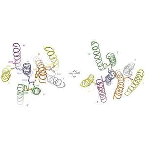 重组人CD3 epsilon蛋白丨人CD3ε重组蛋白