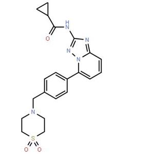 N-[5-[4-[(1,1-二氧代-4-硫代吗啉基)甲基]苯基][1,2,4]三唑并[1,5-A]吡啶-2-基]环丙烷甲酰胺