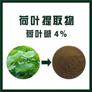 荷叶提取物,Lotus leaf extract