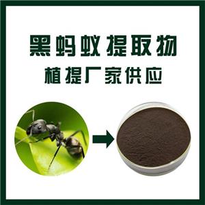 黑蚂蚁提取物,Black ant extract