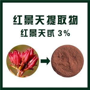 红景天提取物,Rhodiola rosea extract