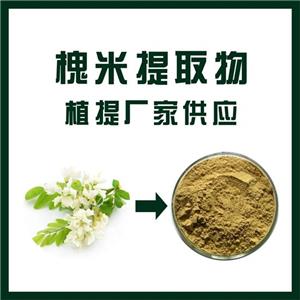 槐米提取物,Sophora japonica extract