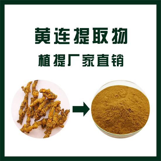 黃連提取物,Coptis chinensis extract