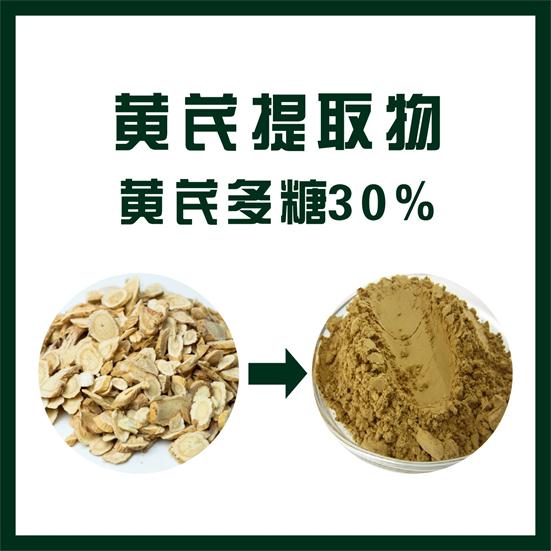 黄芪提取物,Astragalus root extract