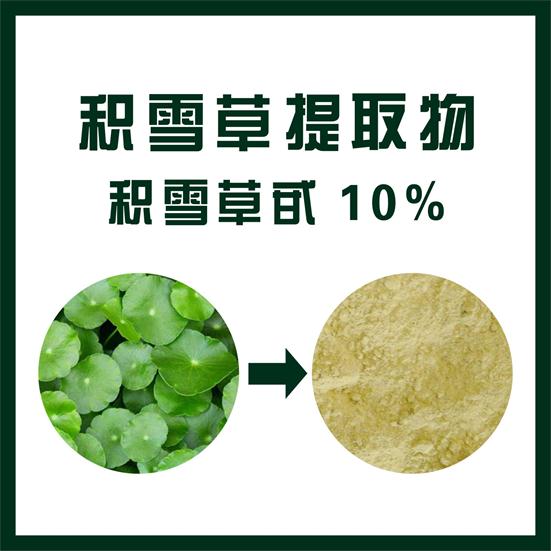 積雪草提取物,Hydrocotyle asiatica extract