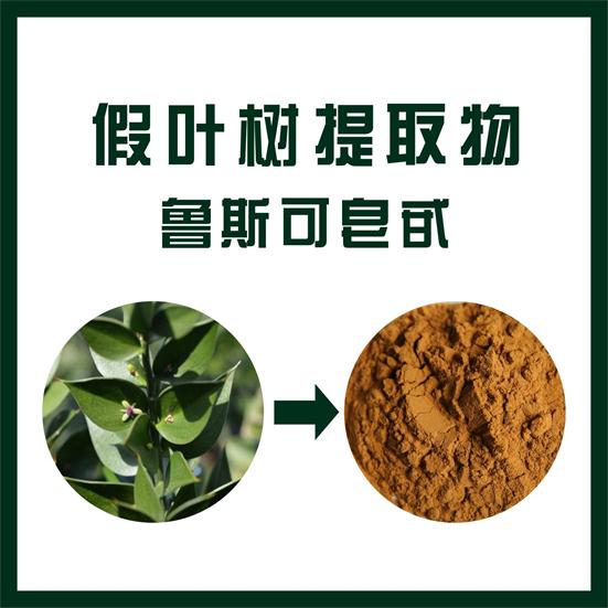 假叶树提取物,Butcher‘s Broom extract