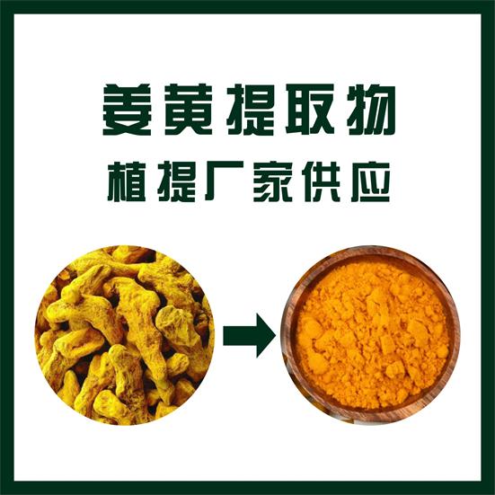 姜黄提取物,Turmeric extract