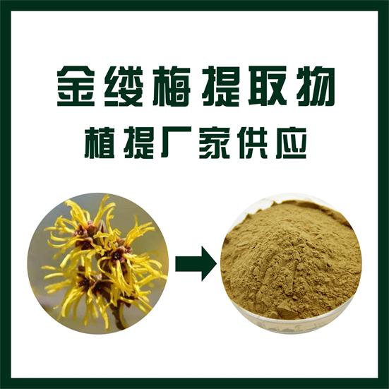 金缕梅提取物,Hamamelis extract