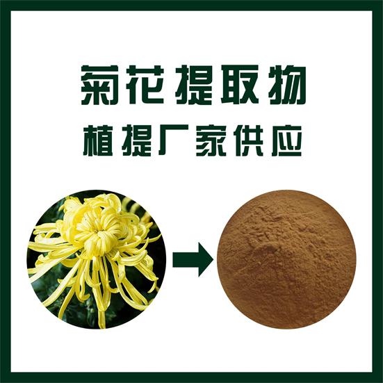 菊花提取物,Chrysanthemum extract