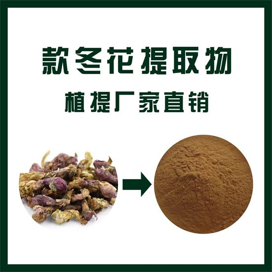 款冬花提取物,Farfara flower extract