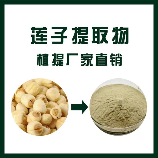 蓮子提取物,Lotus seed extract