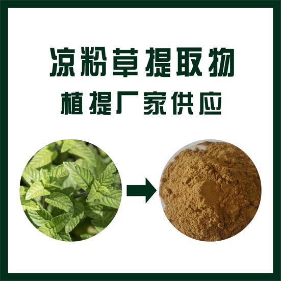 凉粉草提取物,Mesona chinensis extract