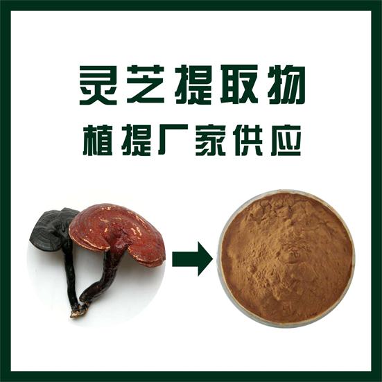 灵芝提取物,Ganoderma extract