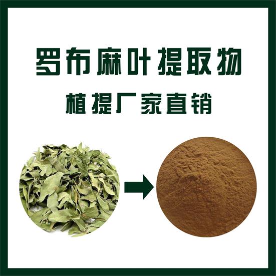 罗布麻叶提取物,Apocynum venetum extract