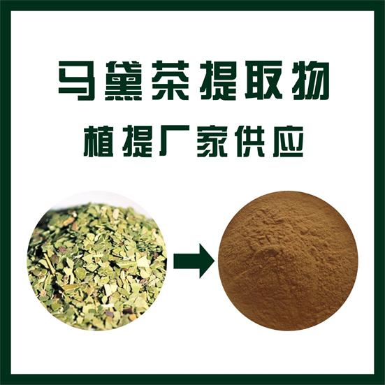 马黛茶提取物,Yerba mate extract