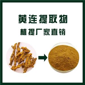 黄连提取物,Coptis chinensis extract
