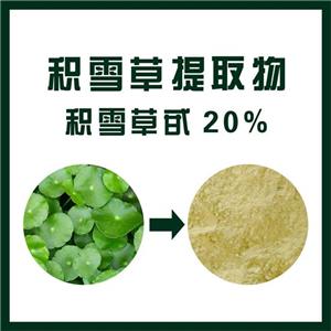 積雪草提取物,Hydrocotyle asiatica extract