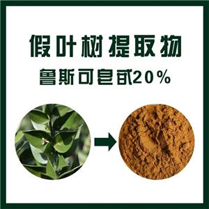 假叶树提取物,Butcher‘s Broom extract