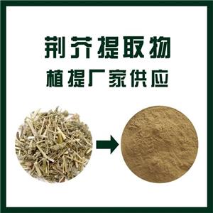 荆芥提取物,Schizonepeta tenuifolia extract