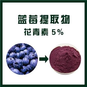 蓝莓提取物,Blueberry Extract