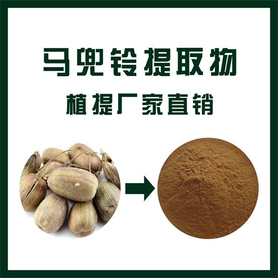 马兜铃提取物,Aristolochia Aristolochia extract